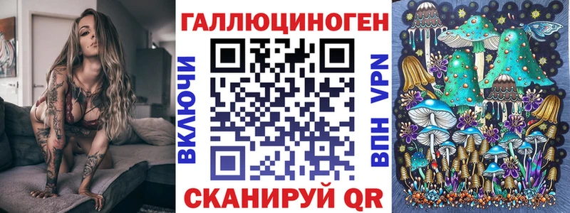 Галлюциногенные грибы Psilocybe Шлиссельбург