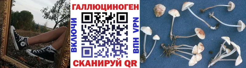 Псилоцибиновые грибы Psilocybe  Шлиссельбург 